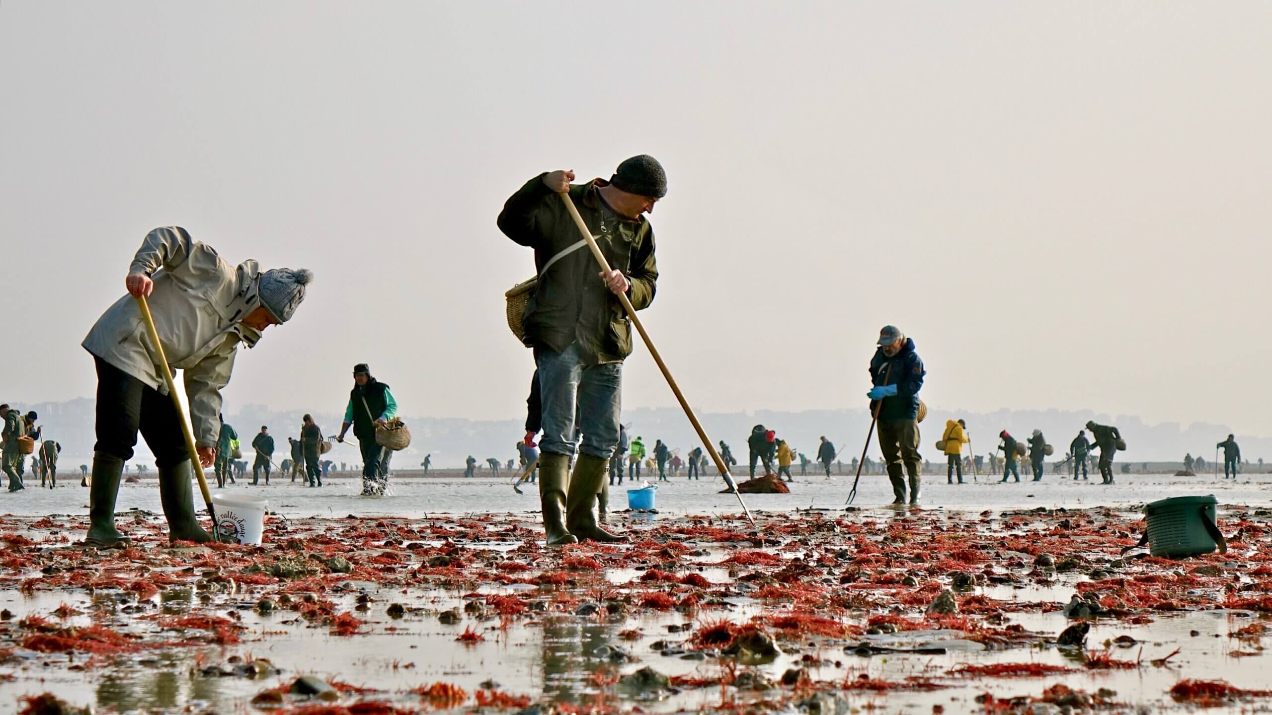 Exposition « Regards sur notre littoral »